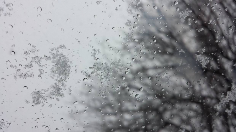 Ведущий специалист центра «Фобос» Леус предупредил петербуржцев о мокром снеге 13 декабря
