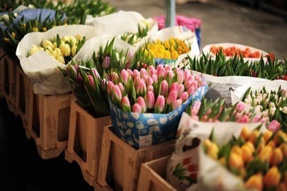 Где лучше всего купить букет с тюльпанами в Санкт-Петербуге