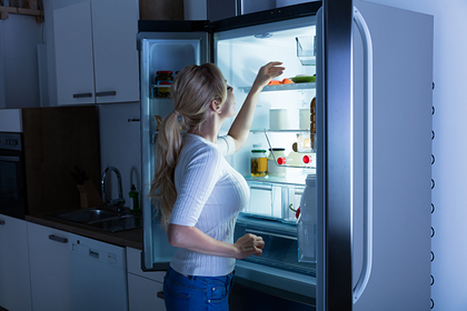 Холодильник ханса: как выбрать