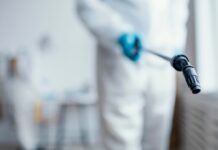 Борьба с нежелательными соседями: Услуги дезинсекции, дератизации и дезинфекции