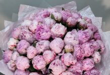 Монобукеты: Красота в простоте и элегантности