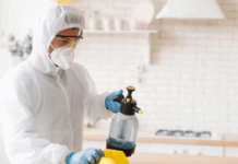 Профессиональные услуги дезинсекции, дератизации и дезинфекции: защита здоровья и комфорта