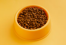 Как выбрать идеальный корм для домашнего питомца: подробное руководство